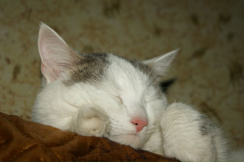 Вадим Бесчастнов | Казань