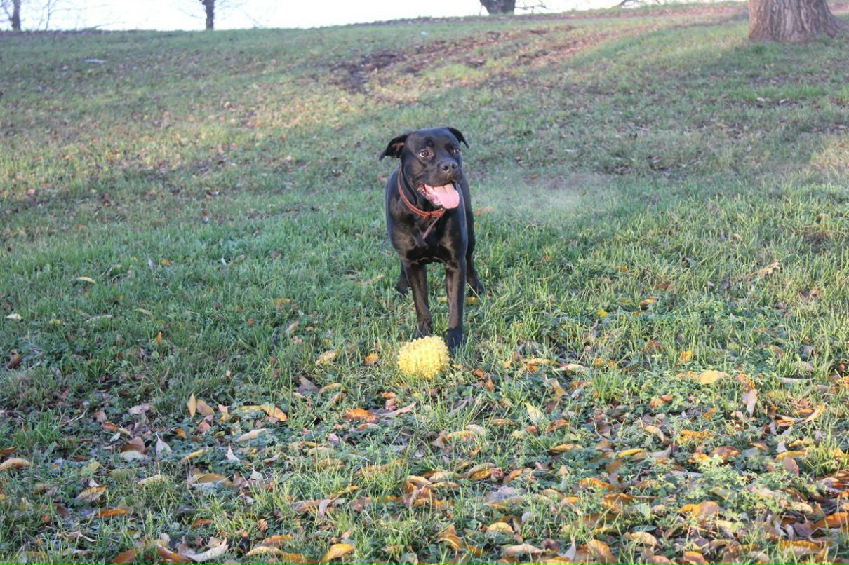 Юля Кулакова | Санкт-Петербург