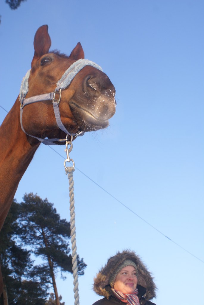 Liza Kobeleva | Харьков