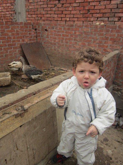 Юлия Гамаль | Taba