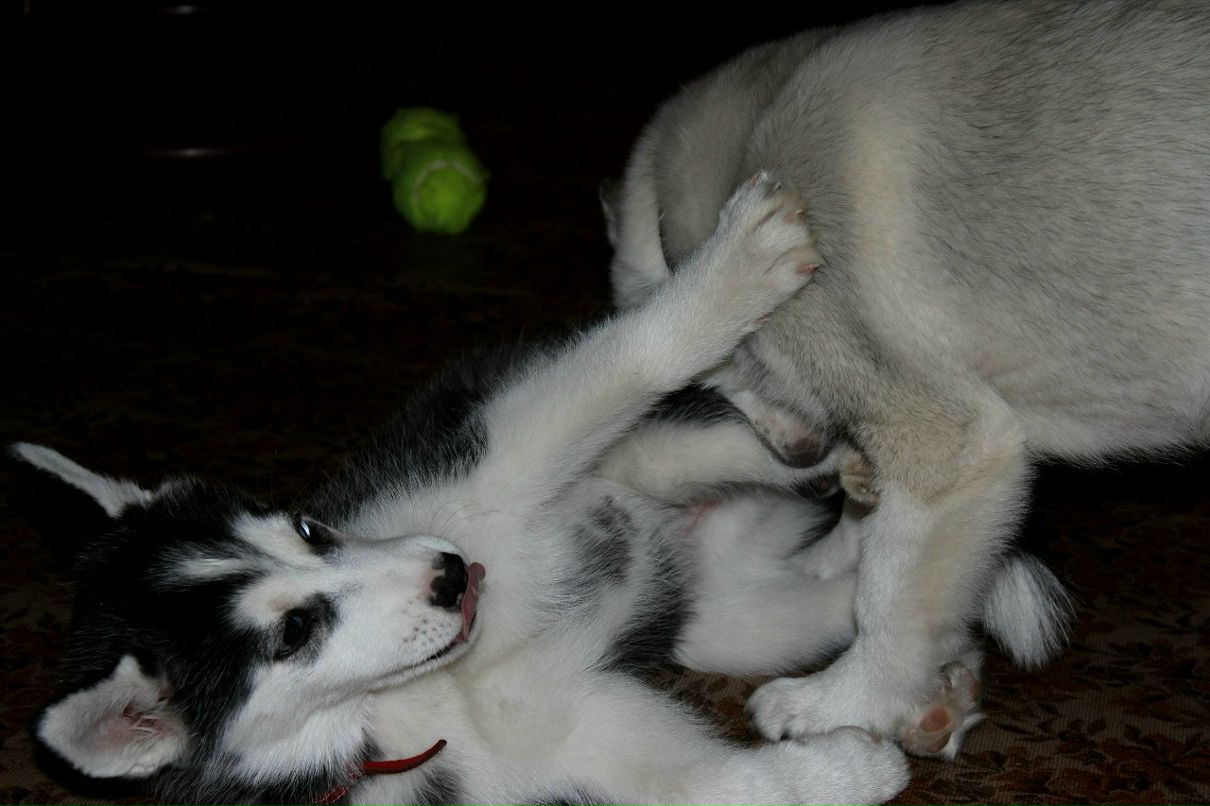 Анна Грачевна ☺SMILE☺ | Москва
