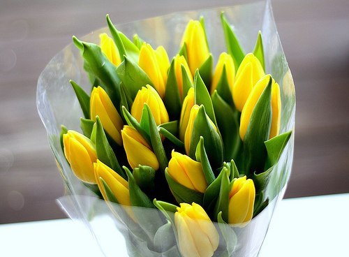 Анастасия Хрусталева | Пермь