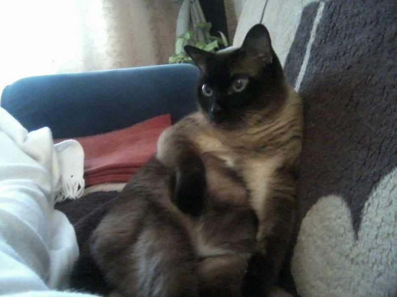 Ольга Неприкосновенная | Санкт-Петербург