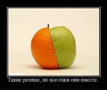 Фотография Гадя Хренова