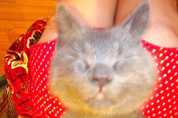 №35, Лариса Пташенчук, 39 лет, Одесса №35, Лариса Пташенчук, 39 лет, Одесса