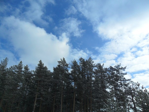 №31, Татьяна Михеева-Яковлева, 60 лет, Череповец №31, Татьяна Михеева-Яковлева, 60 лет, Череповец