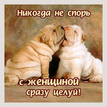 №21, Алёна Гонтаровская, Днепр (Днепропетровск) №21, Алёна Гонтаровская, Днепр (Днепропетровск)