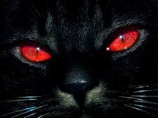 №27, Любаня Angel гаврилова, 18.7 №27, Любаня Angel гаврилова, 18.7