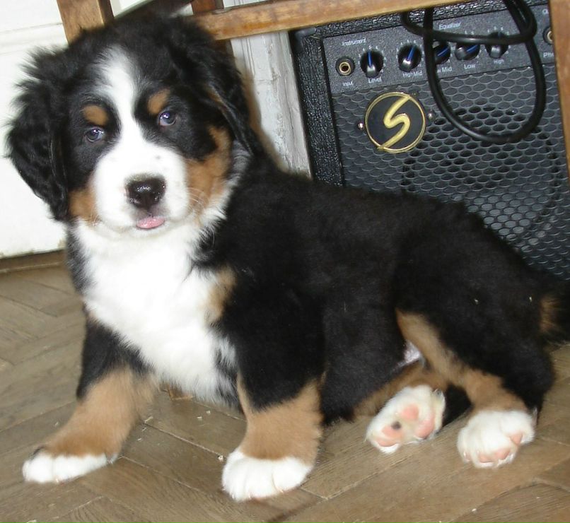 Станислав Суслов | Санкт-Петербург