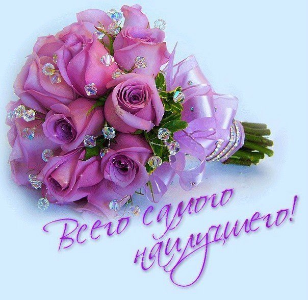 Елена Ласточкина | Тула