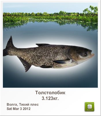 Александр Андреев | 