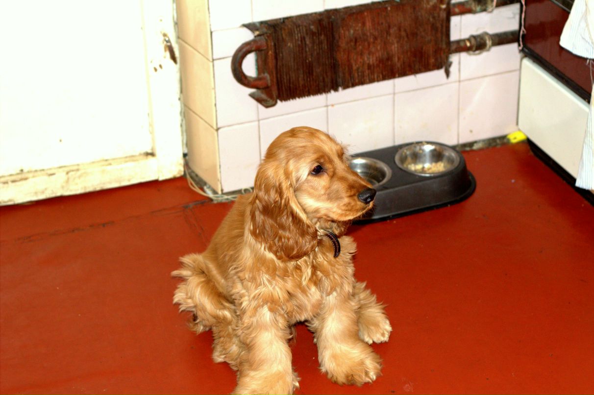 Екатерина Поплавская $reDISKOOOOO$ | Киев