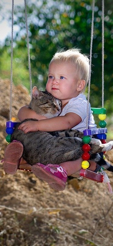 Станислав Синяков | Курган