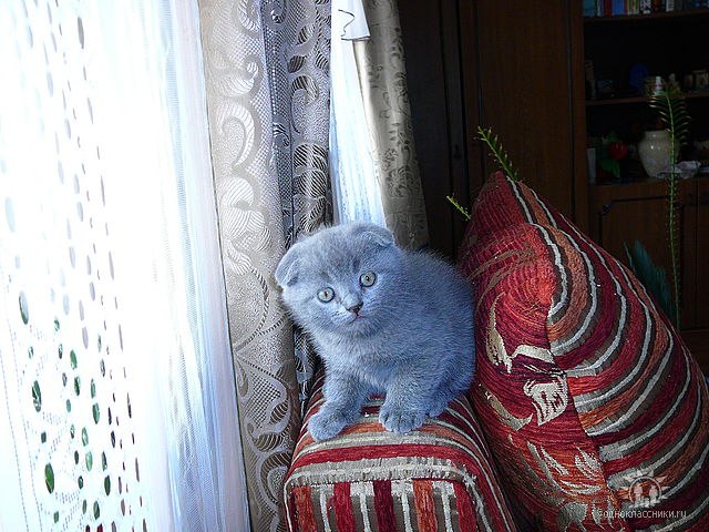 Миша Еремин | Москва