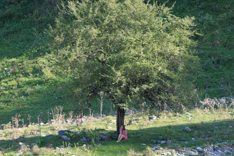 Алёнка Тамаева | Москва