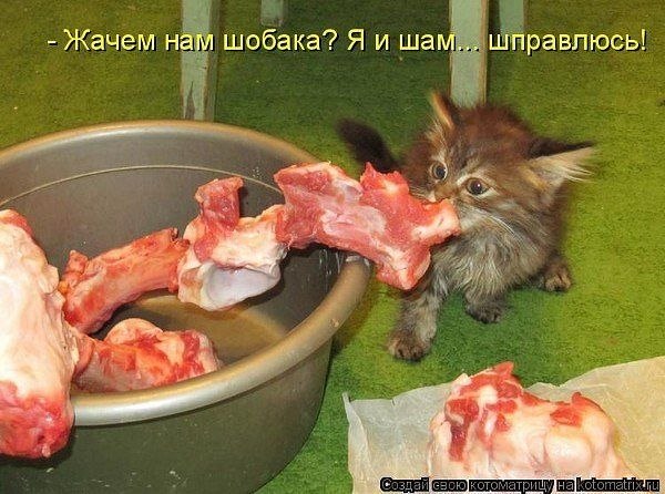 Татьяна Горбовая-Яценко | Луганск