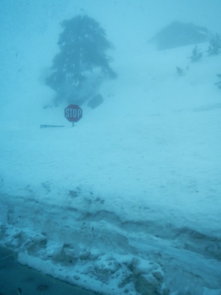 Дмитрий Сорокин | Москва