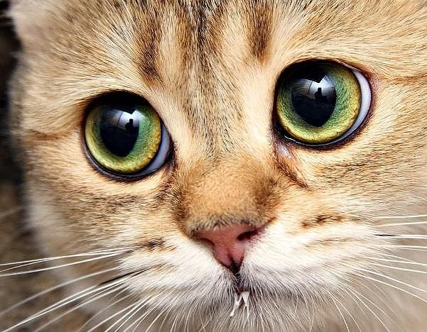 Евгения Орлова | Красноярск