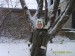 Ирина Астафьева фотография #2 (источник - https://vk.com/id70377629)