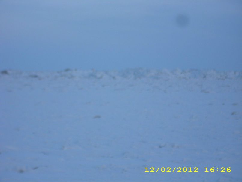 Миха Ляхов | Бердянск