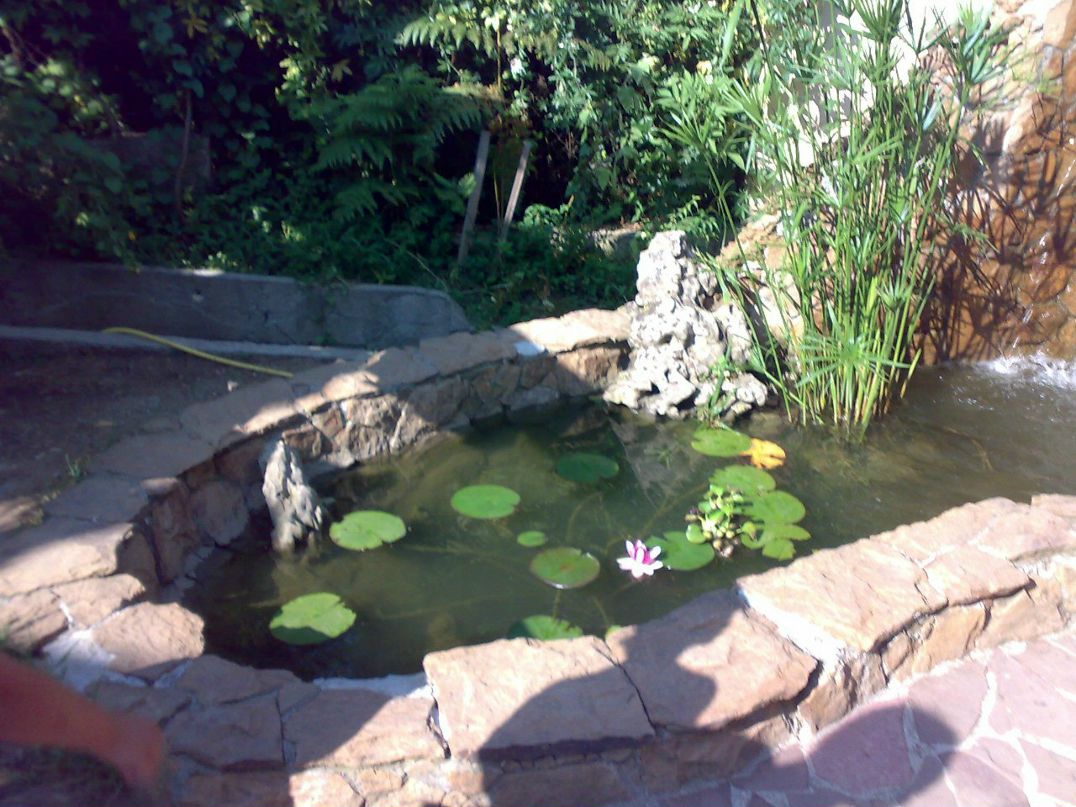 Василий Волков | Рязань