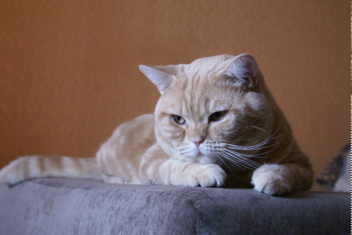 Диана Сидорова | Челябинск