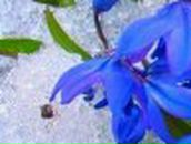 Яна Янковская | 