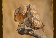 №3 Марина Витвицкая 08.03: профиль, фото, статус - ВКонтакте №3 Марина Витвицкая 08.03: профиль, фото, статус - ВКонтакте