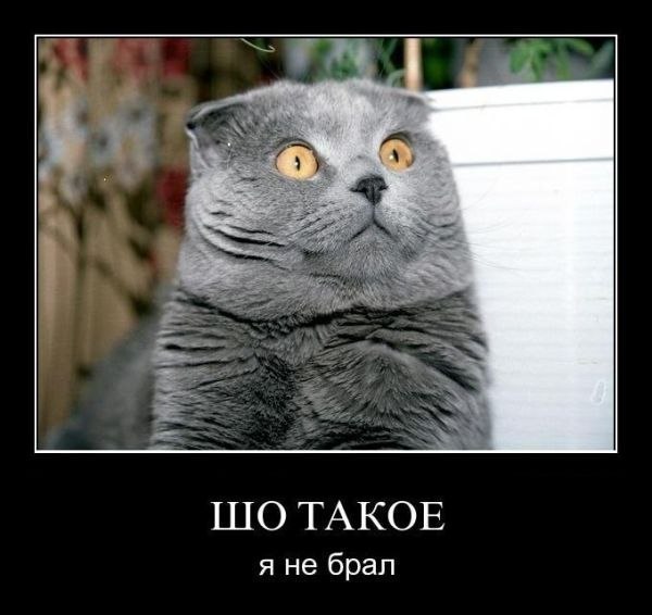 Наталия Щепина *V_i_V_a* | 