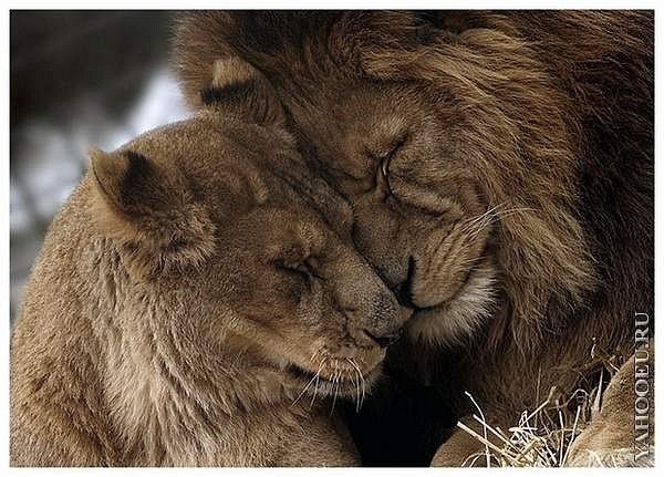 Оля Цырендоржиева | Улан-Удэ