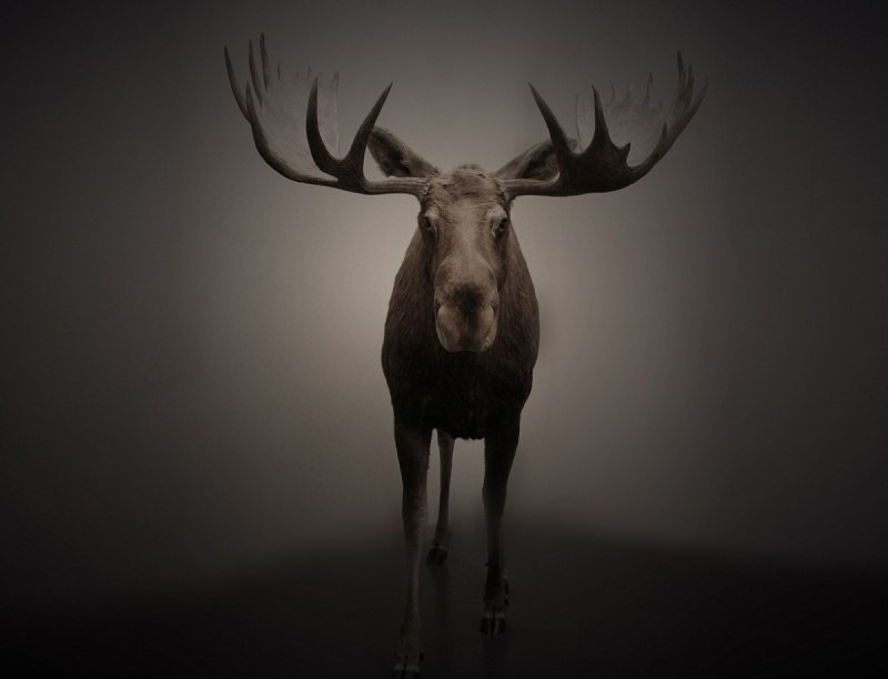 Захар Mango | Калининград