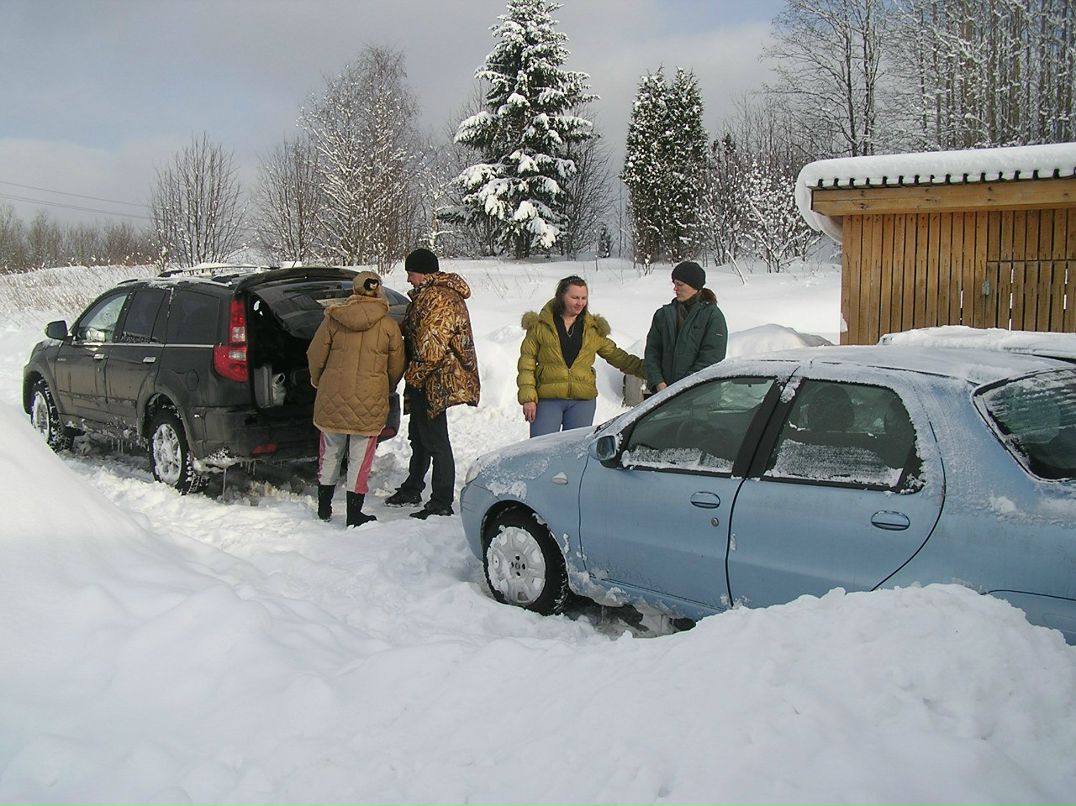 Елена Павлова | Вологда