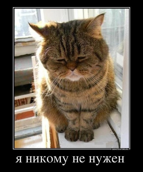 Костя Щёлоков Плут | Ростов-на-Дону