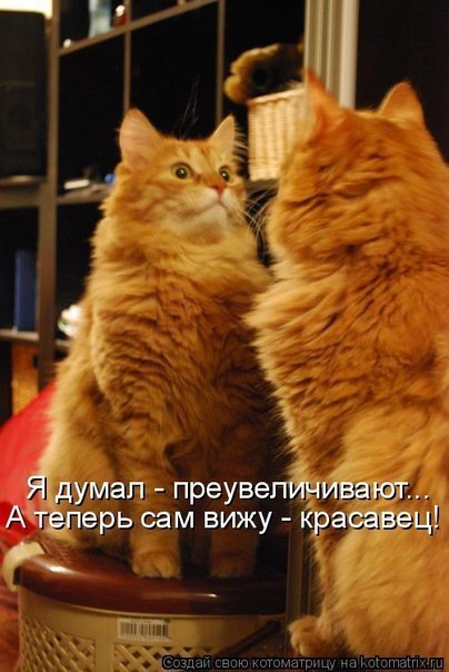 Евгений Решетняк | Новосибирск