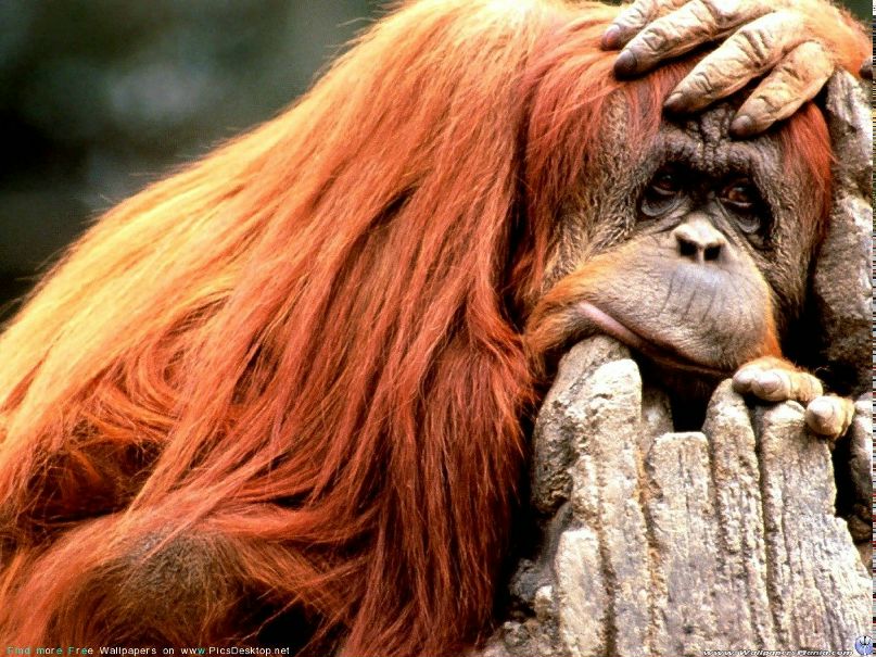 Маруся Маруся | Санкт-Петербург