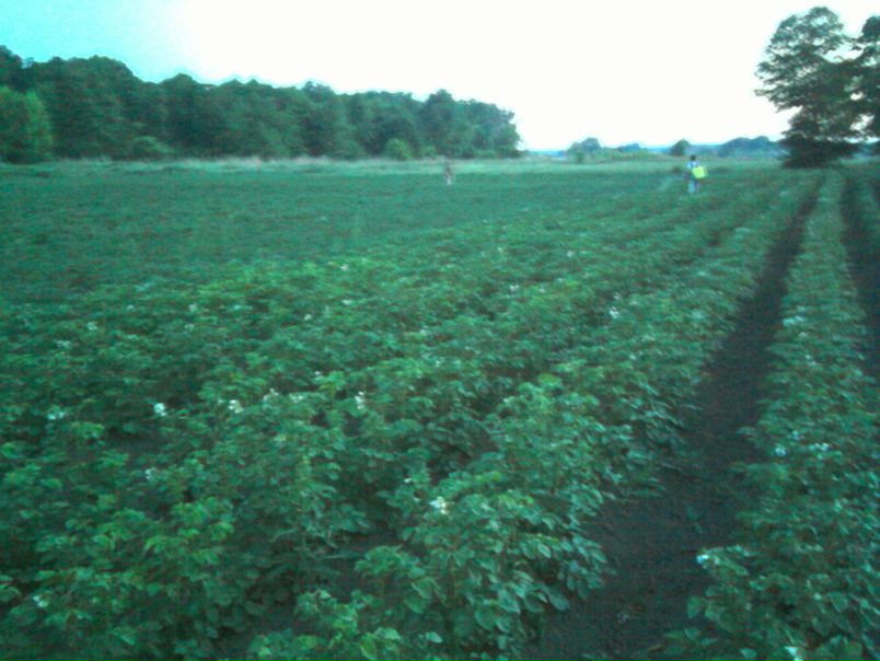 №12, Ирина Физер, 42 года, Обухов №12, Ирина Физер, 42 года, Обухов