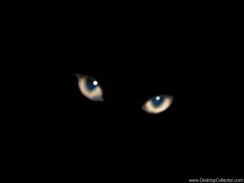 №99, Мария Фролова №99, Мария Фролова