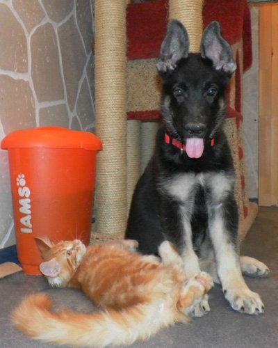 Маргарита Васина | Москва