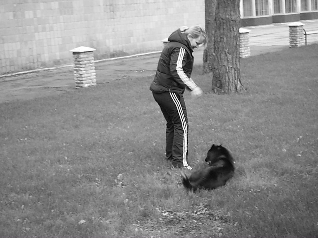 Виктория Кириенко | Киев