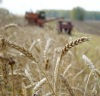 Выпуск следующего видеоролика про Сельское хозяйство в России.