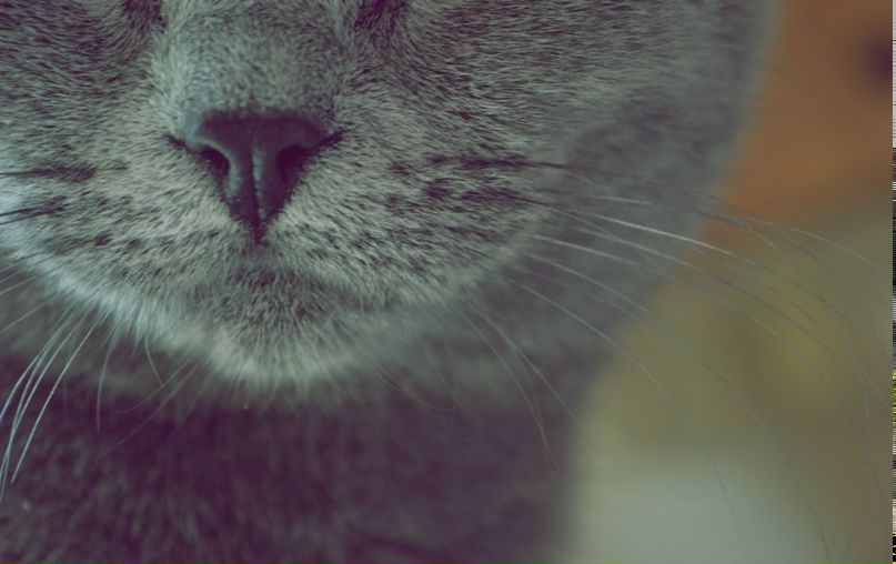 Анна Студенкова | Смоленск