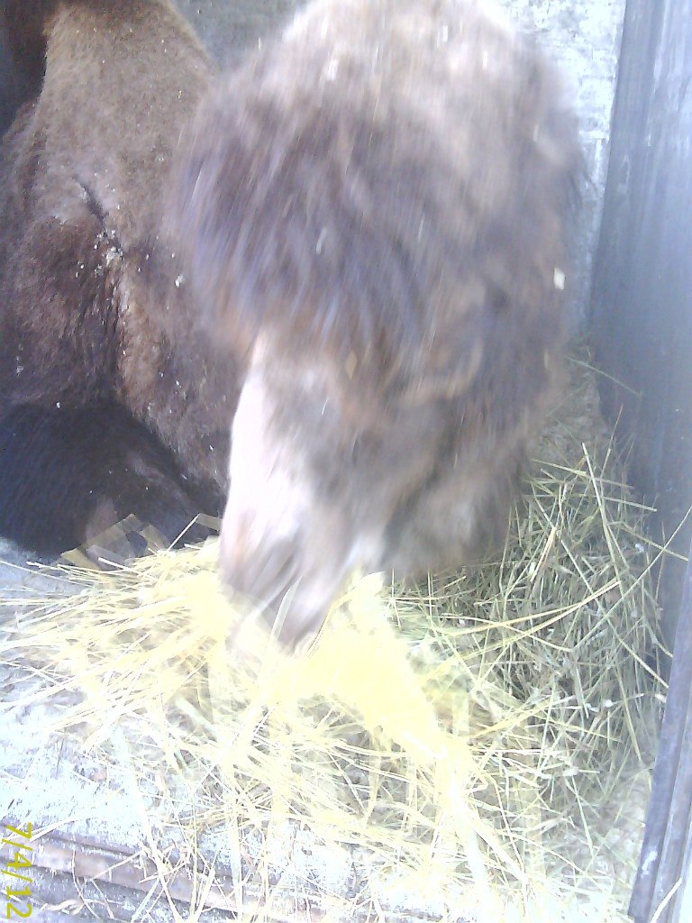 Евгений Канюков | Пермь