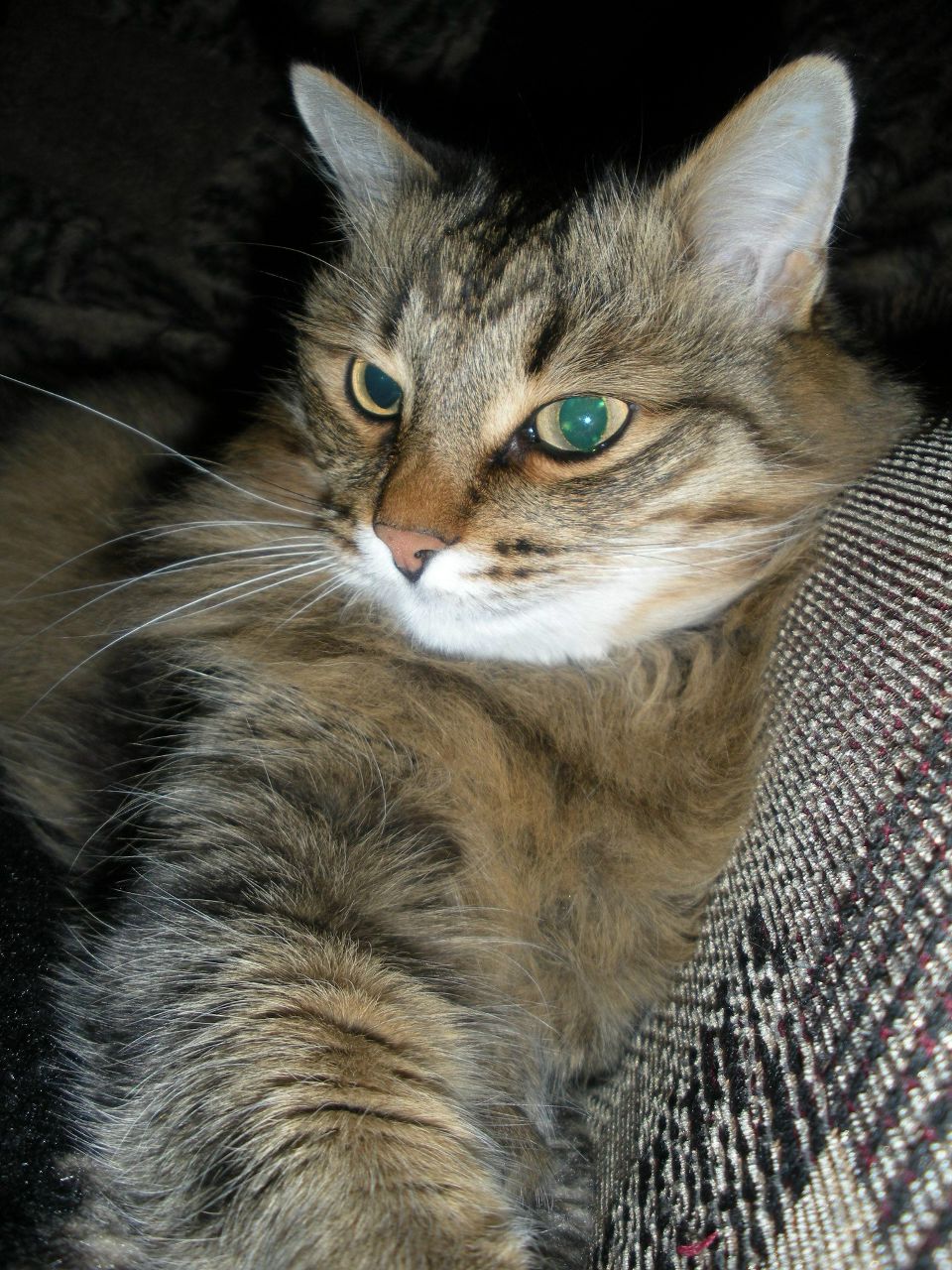 Ульяна Строгова | Киров