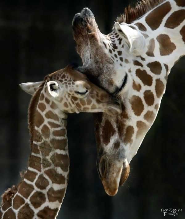 Виолетта Подкопаева | Москва