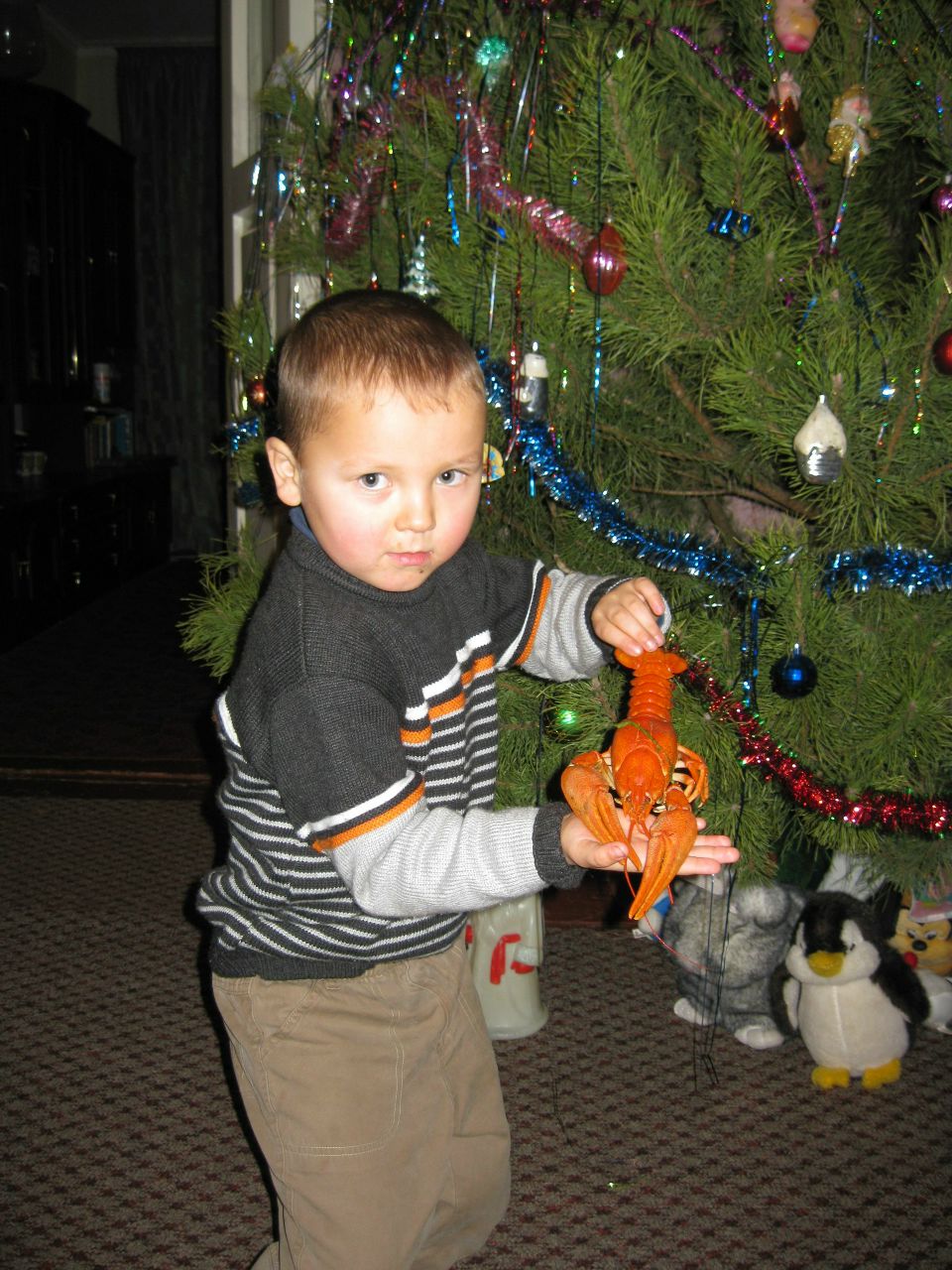 Валерия Скильсара | Никополь