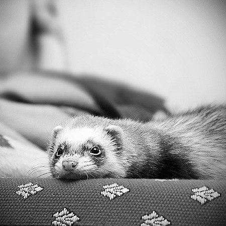 Артем Хайретдинов | Уфа