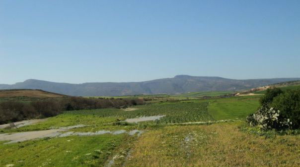 №133, Hamza Methanni, Омск №133, Hamza Methanni, Омск