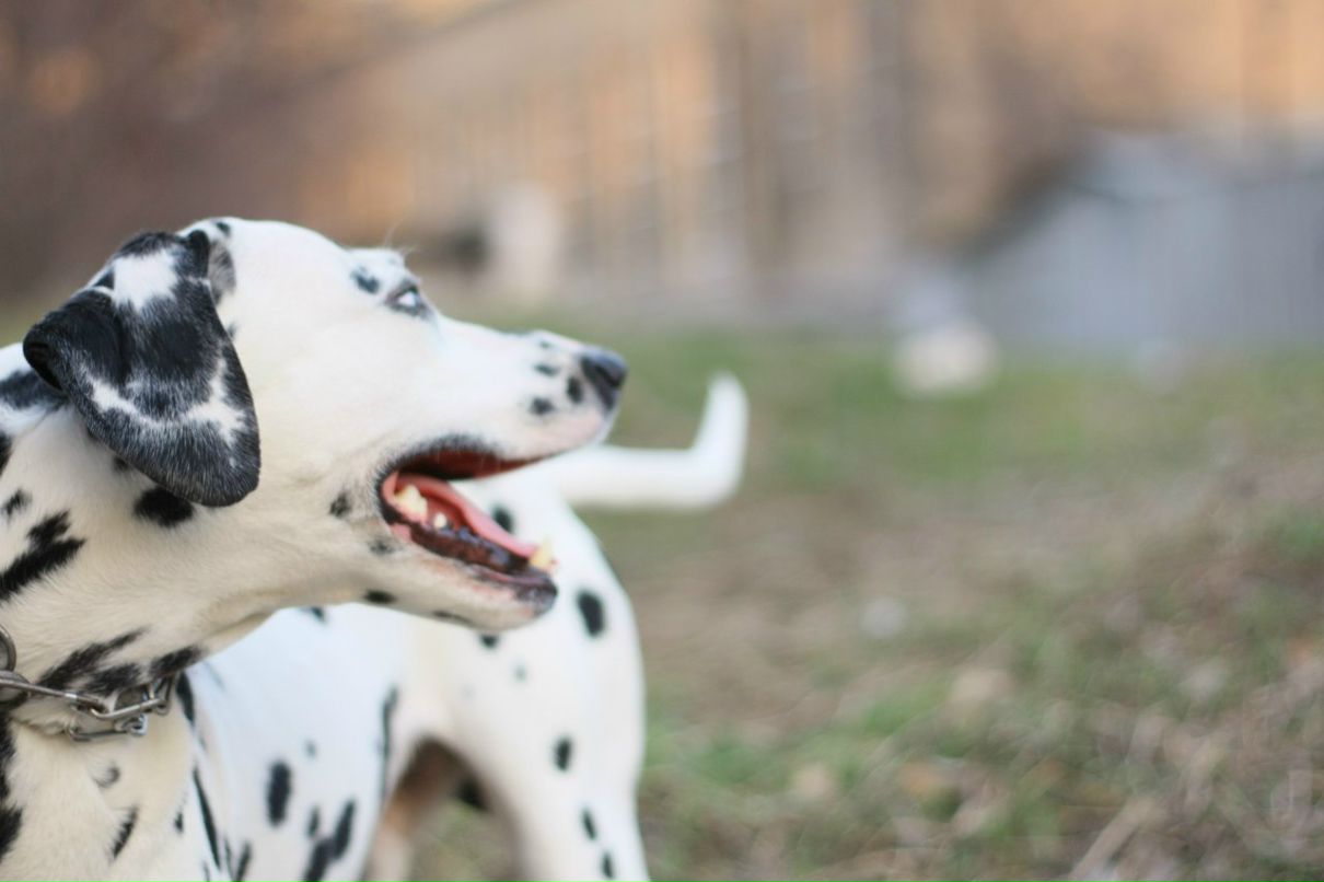 Славик Аджигитов | Москва