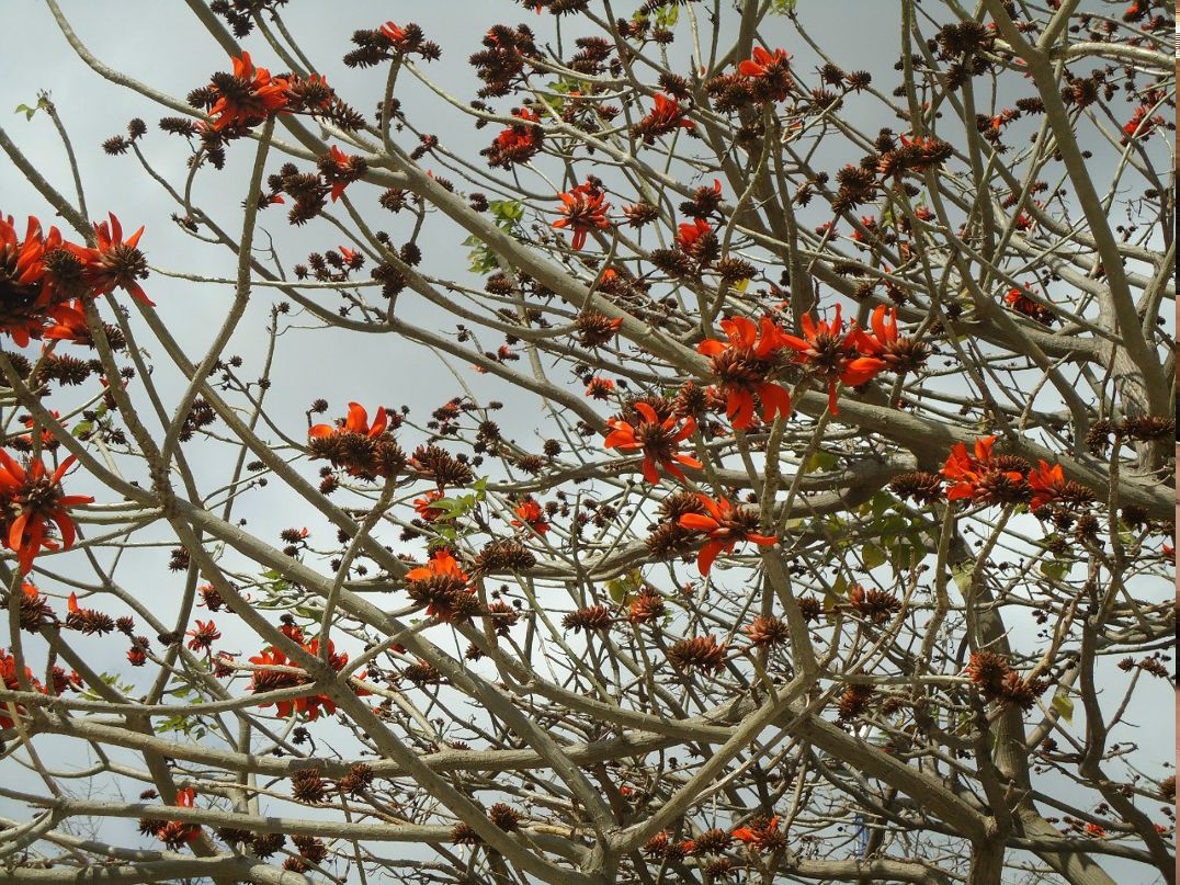 Анна Костенкова | Москва