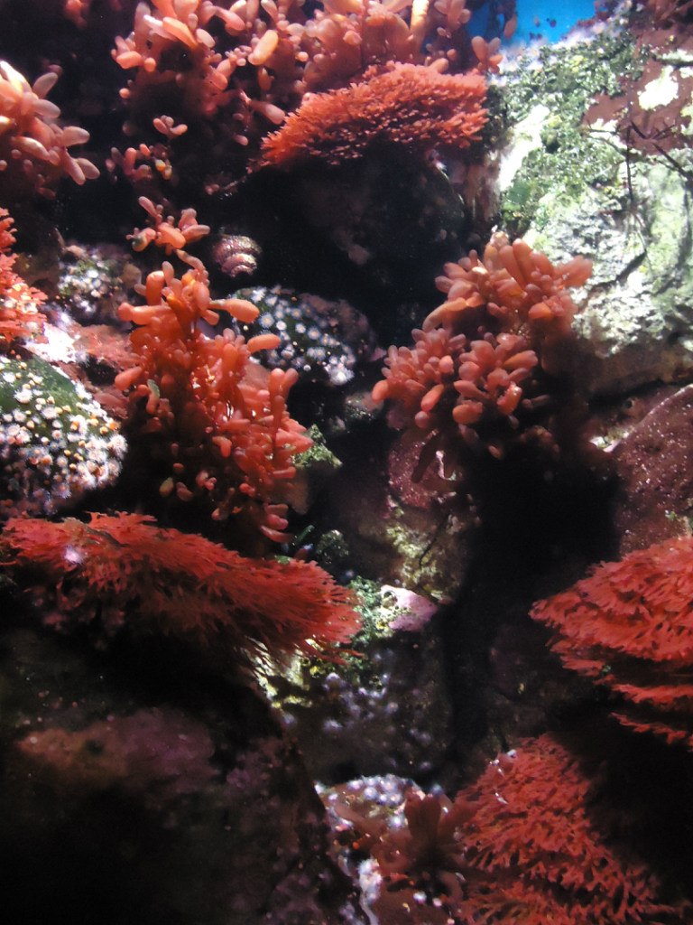 Анна Костенкова | Москва